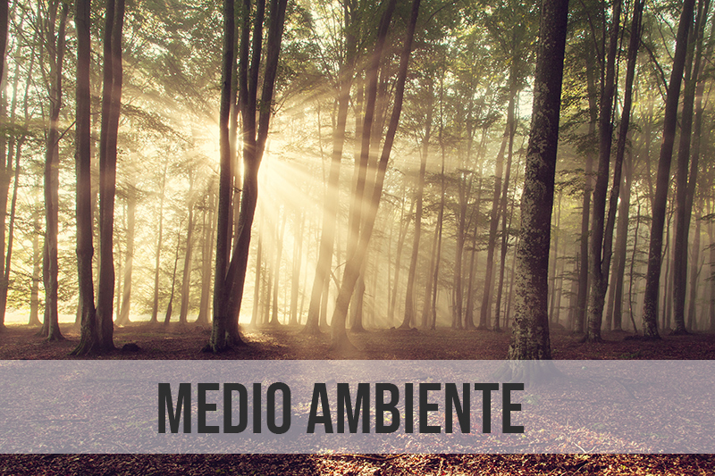 medio_ambiente